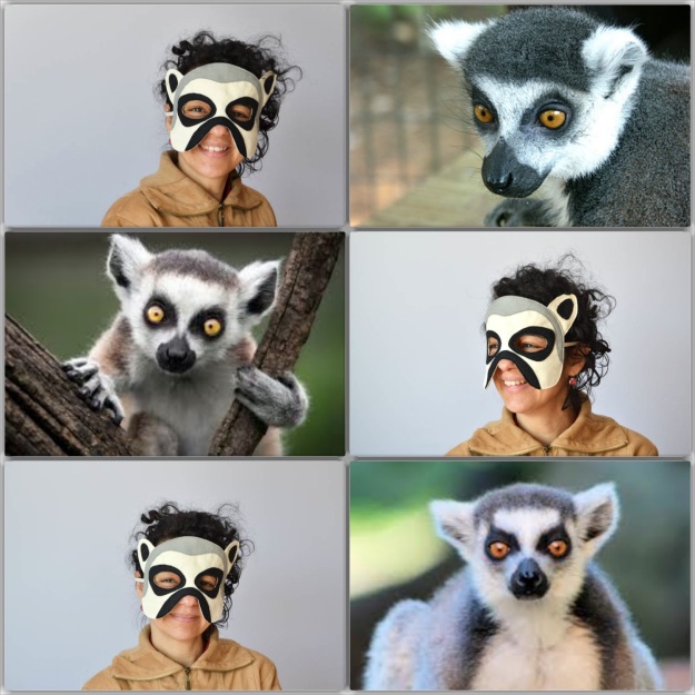 lemur3_Fotor_Collage